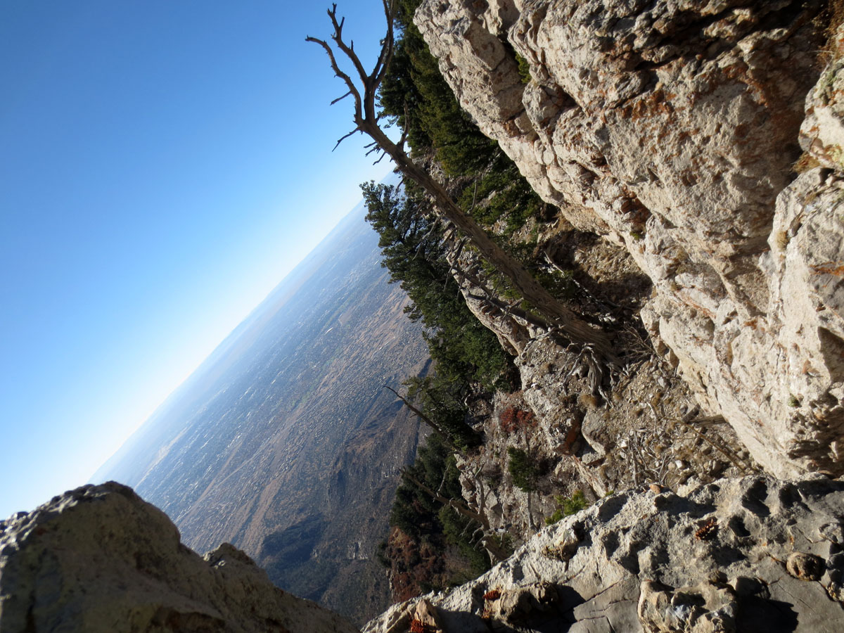 Look at things differently by Susan Fluegel